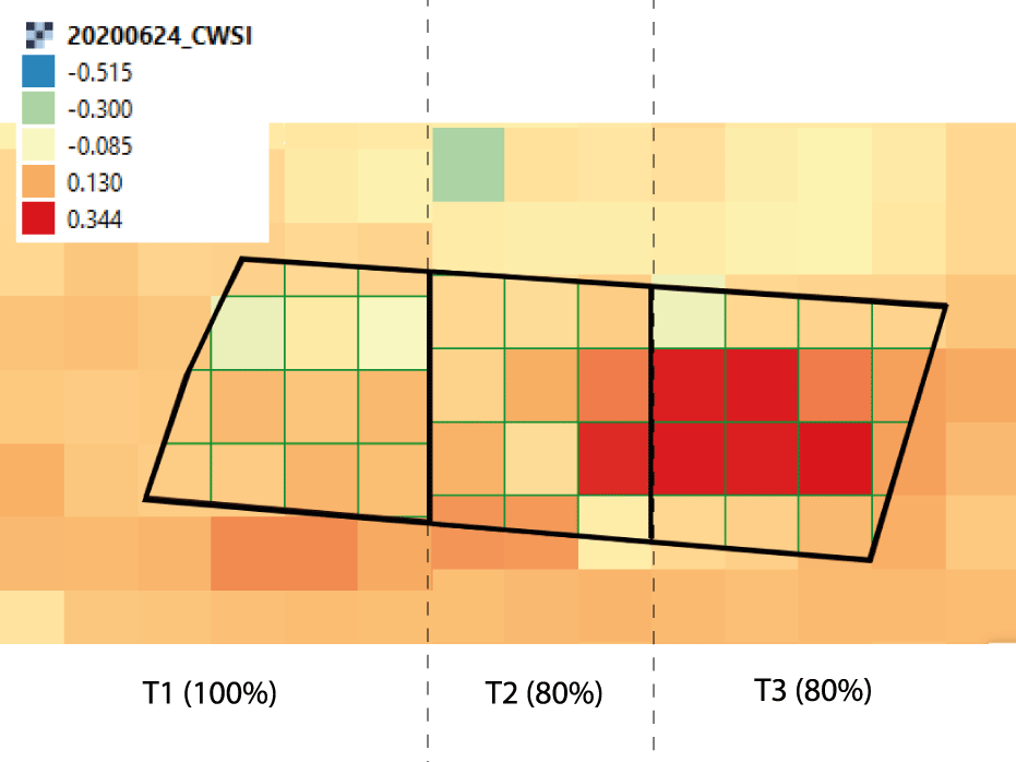 manvertDetalle de la evaluación de CWSI T1 (testigo 100%), T2 (manvet sukses a 3L/ha y 80%) y T3 (testigo 80%)