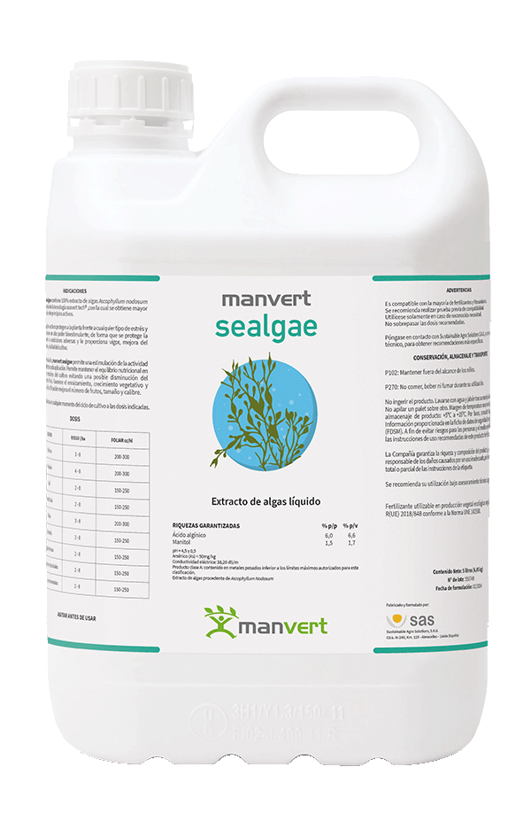 manvertmanvert sealgae 