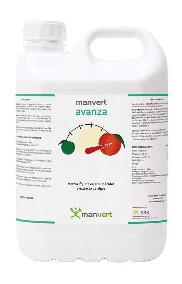 manvertmanvert avanza