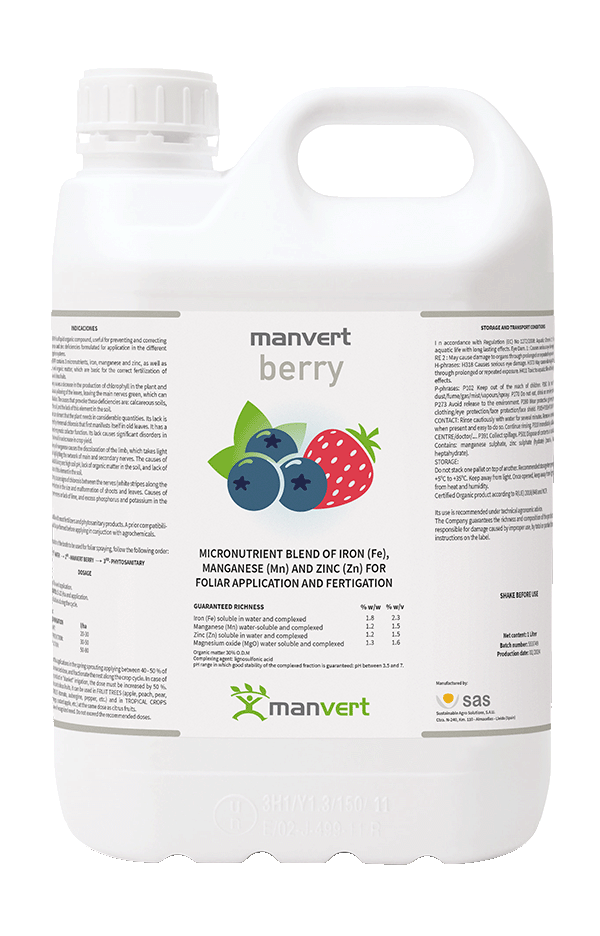 manvert berry 